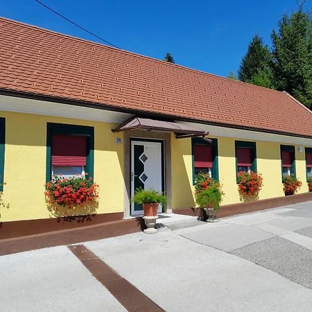 Hotel Pri Belokranjcu Novo Mesto Exteriér fotografie