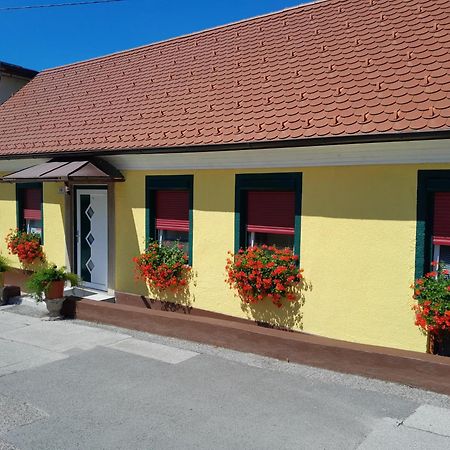 Hotel Pri Belokranjcu Novo Mesto Exteriér fotografie