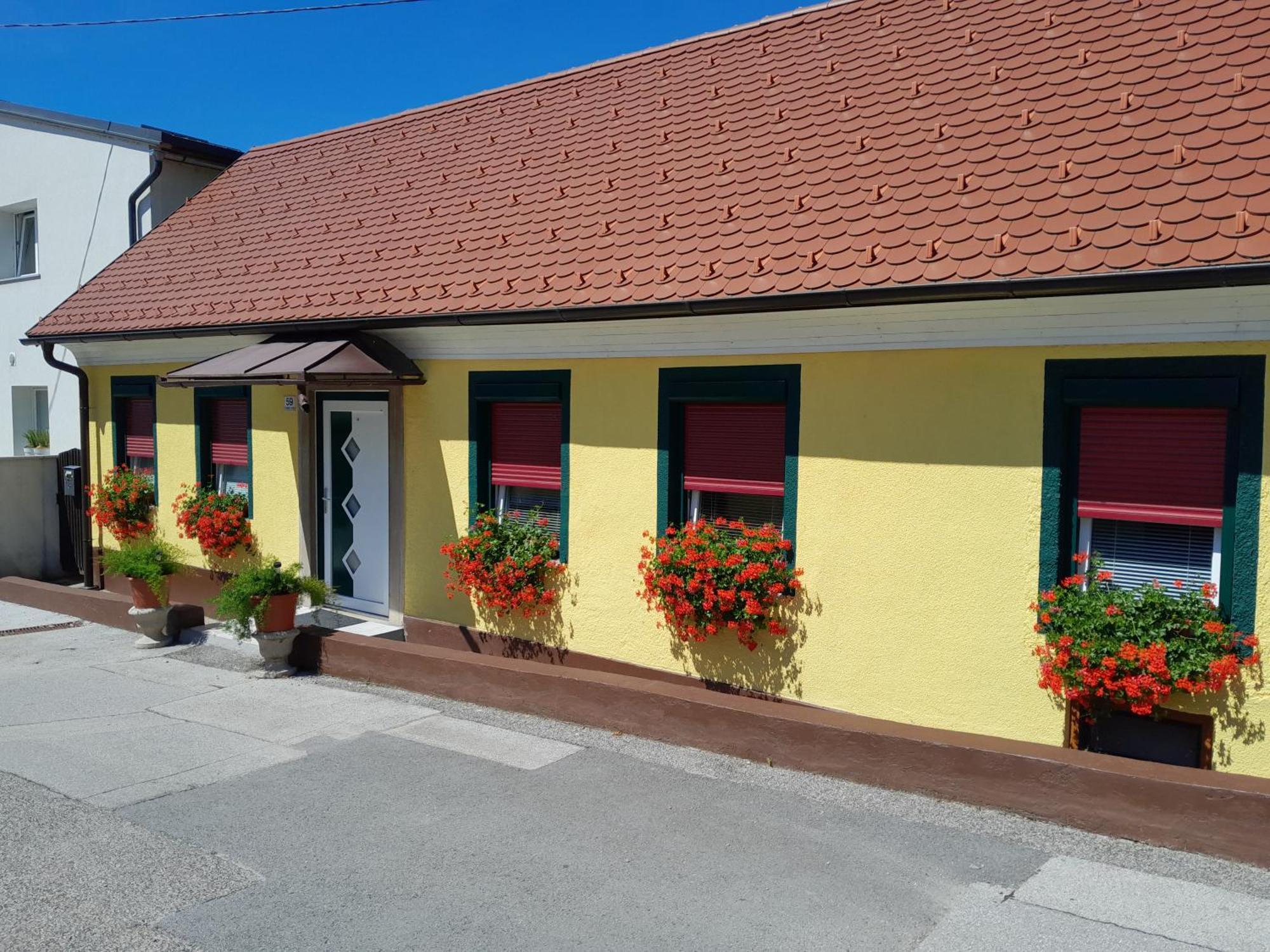 Hotel Pri Belokranjcu Novo Mesto Exteriér fotografie