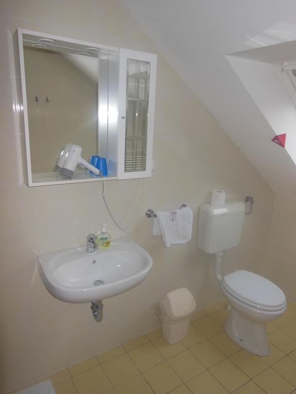 Hotel Pri Belokranjcu Novo Mesto Pokoj fotografie